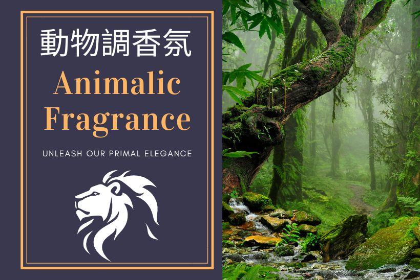 動物調香氛