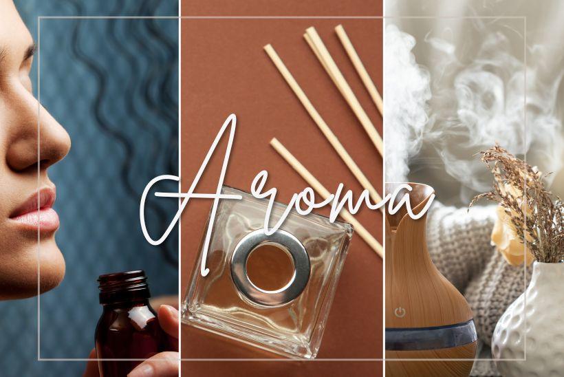 香氣的力量：氣味如何影響情緒、記憶與身心