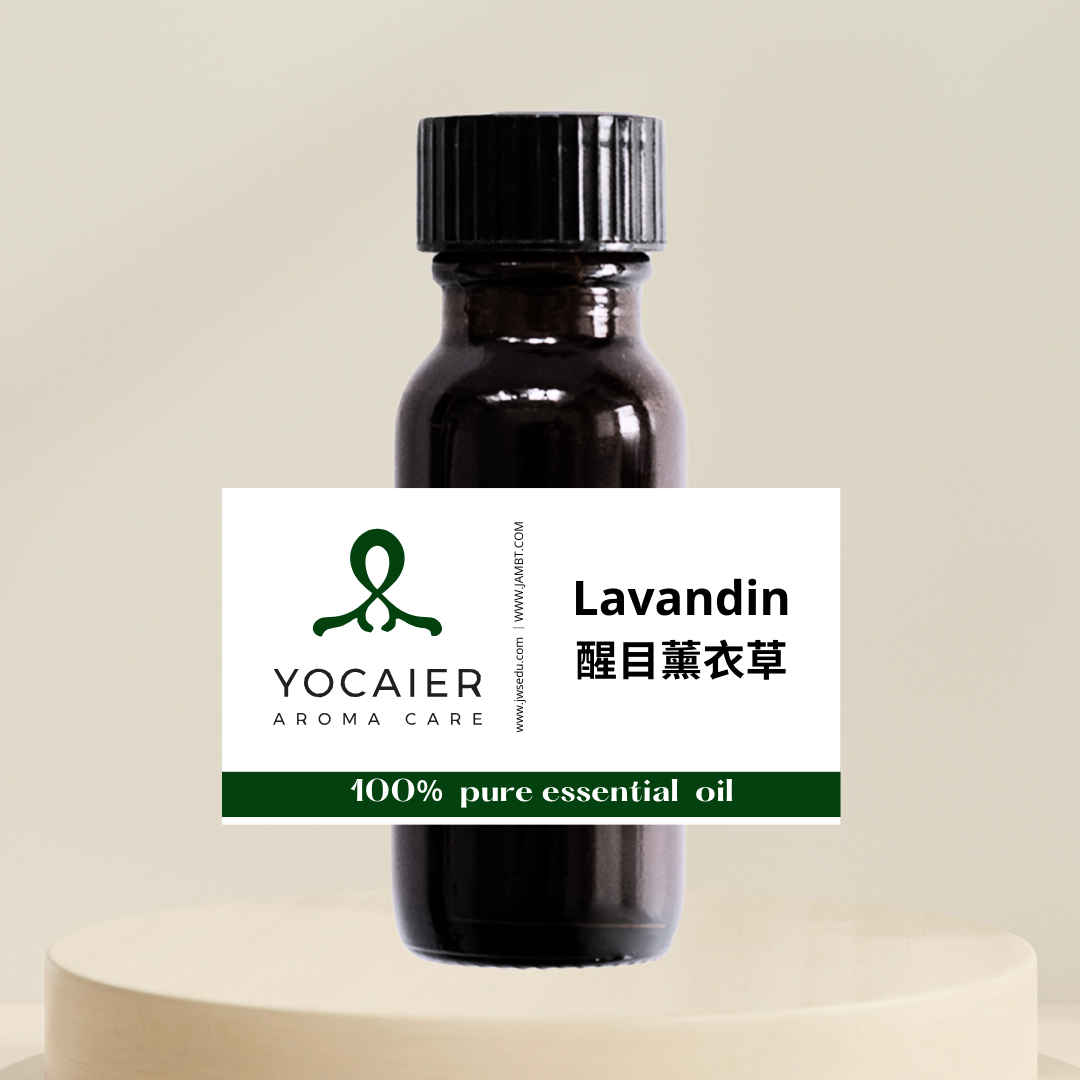 醒目薰衣草