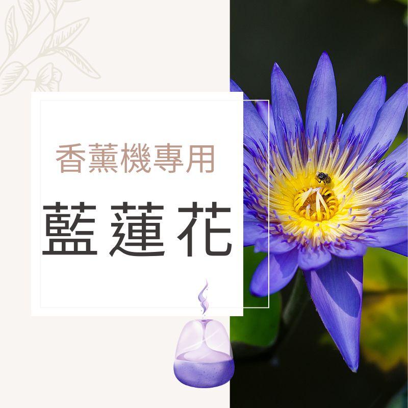 藍蓮花香氛水｜無酒精香薰機專用香氛水