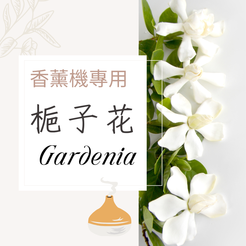 梔子花香氛水｜無酒精香薰機專用香氛水