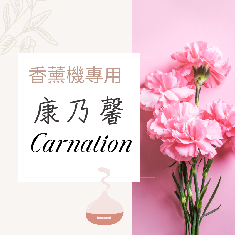 康乃馨香氛水｜無酒精香薰機專用