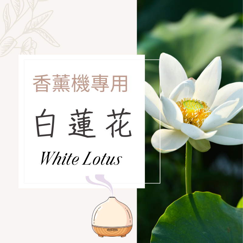 白蓮花香氛水｜無酒精香薰機專用香氛水