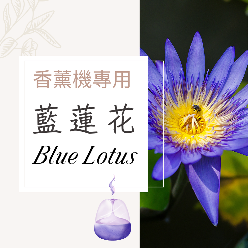 藍蓮花香氛水｜無酒精香薰機專用香氛水