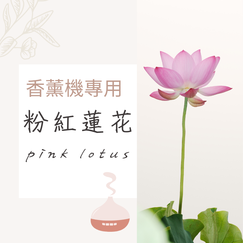 粉紅蓮花香氛水｜無酒精香薰機專用香氛水