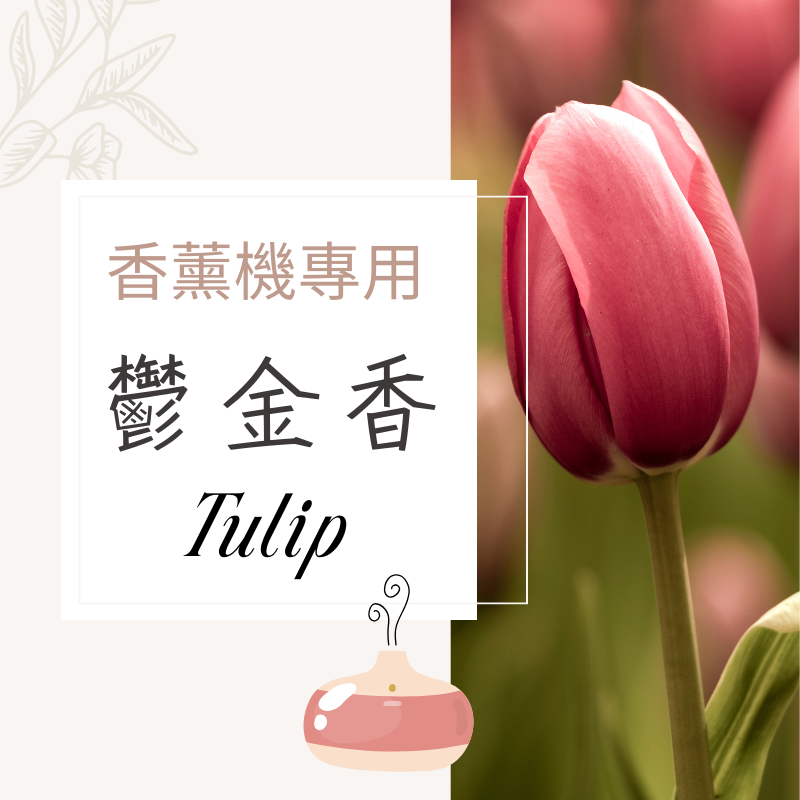 鬱金香香氛水｜無酒精香薰機專用香氛水
